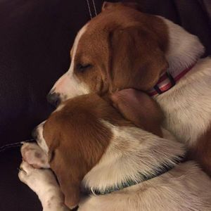 Meet your Posher, Denise